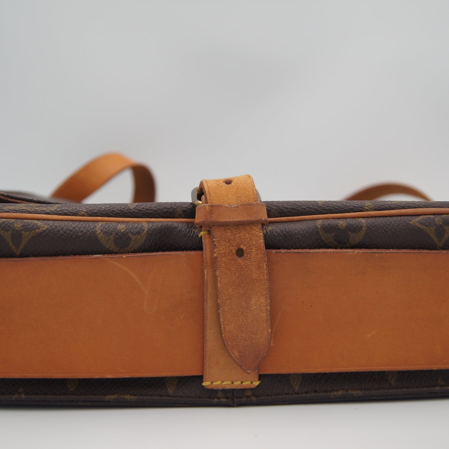 Louis Vuitton Cartouchiere GM Monogram